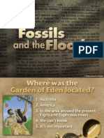 Fossils and The Flood Title 01111