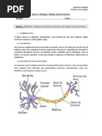 Guía N°1 Biología 2°M