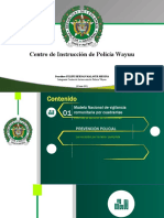 Modelo nacional vigilancia comunitaria cuadrantes