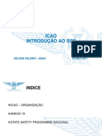 1 Introducao SSP Helena Faleiro