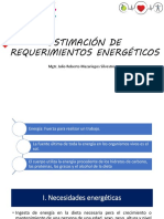 Estimación de Requerimientos Energéticos