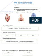 Taller Repaso Sistema Circulatorio - Gabriela Dussan Higuera