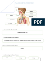 Taller Sistema Respiratorio - Gabriela Dussan Higuera