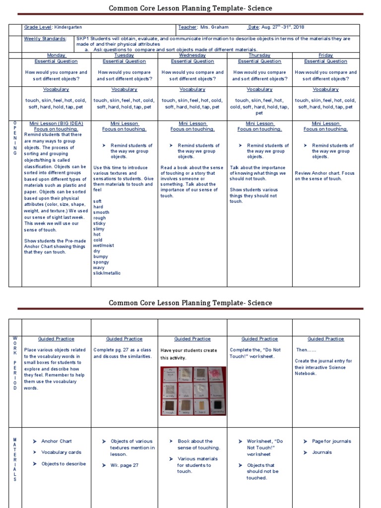Kindergarten Science Lesson Plan Template | PDF | Neuropsychological ...