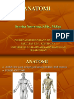 P2. ANATOMI