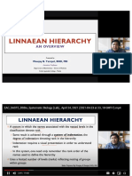 Linnean Hirarchy