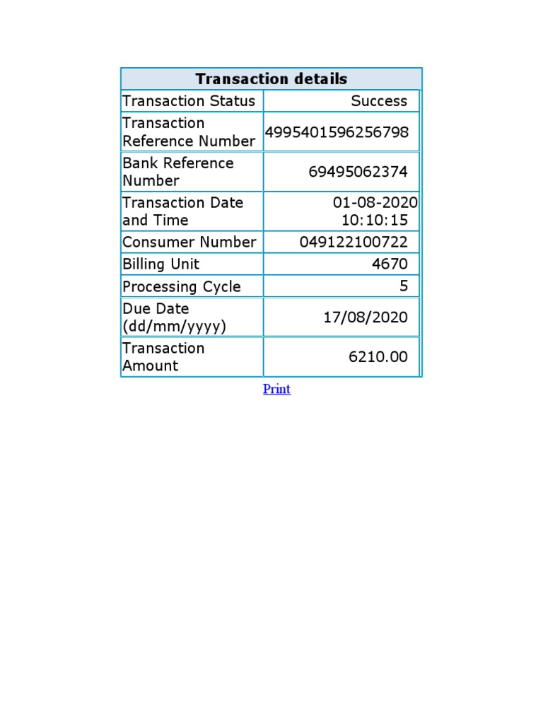 Transaction Details: Print | PDF | Finance & Money Management