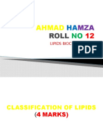 Ahmad Hamza 12