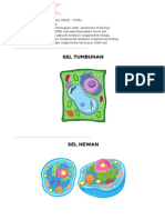 Sel Tumbuhan: Schwaan Dan Schleiden (1838) Mengembangkan Teori Sel