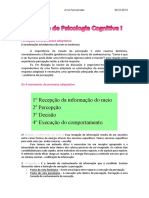 Psicologia Cognitiva I