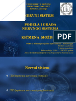 Анатомија - Вежбе - ЦНС и Кичмена Мождина - 13.-16.04.2020.