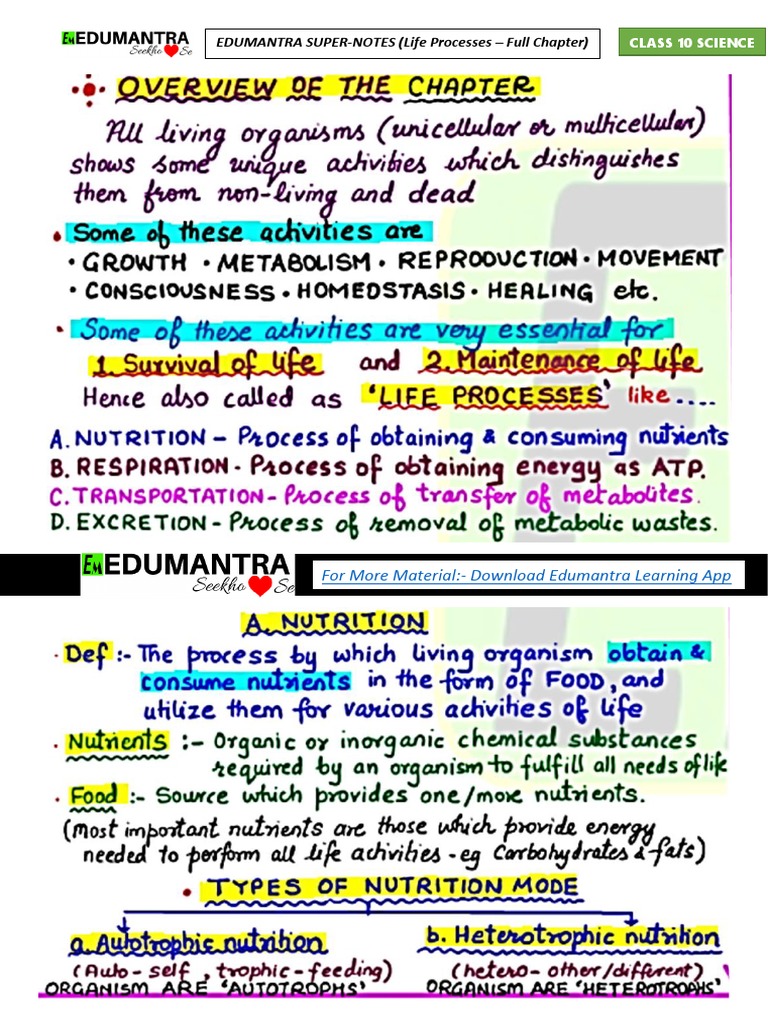 Life Processes Chapter 6 Full Chapter Download Free Pdf Mobile