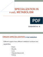 Organ Specialization in Fuel Metabolism