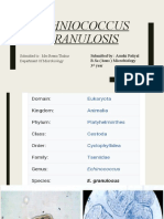 Echniococcus Granulosis: Submitted By: Arushi Patiyal B.Sc. (Hons) Microbiology 3 Year