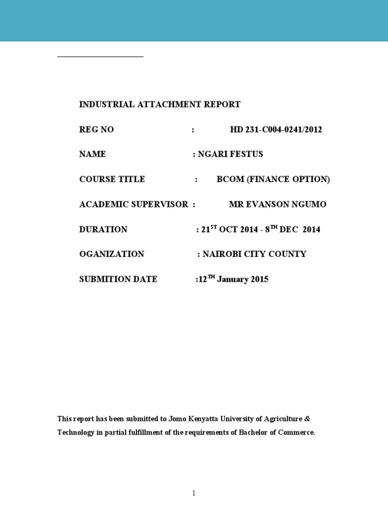 Nairobi City County Industrial Attachment Report | PDF | Nairobi | Audit