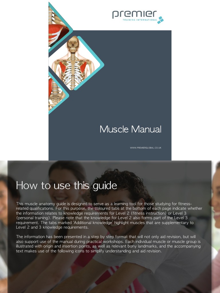 Muscle Manual: WWW - Premierglobal.Co - Uk | PDF | Foot | Ankle