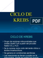 Ciclo de Krebs