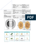 Akar PDF Oidhowpufhowufhfohoioff