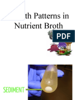 Growth Patterns in Nutrient Broth
