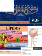 4° Tema 3 Lípidos