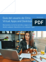 Citrix Virtual Apps and Desktops User Guide