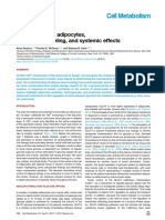 Insulin Action in Adipocytes, Adipose Remodeling, and Systemic Effects