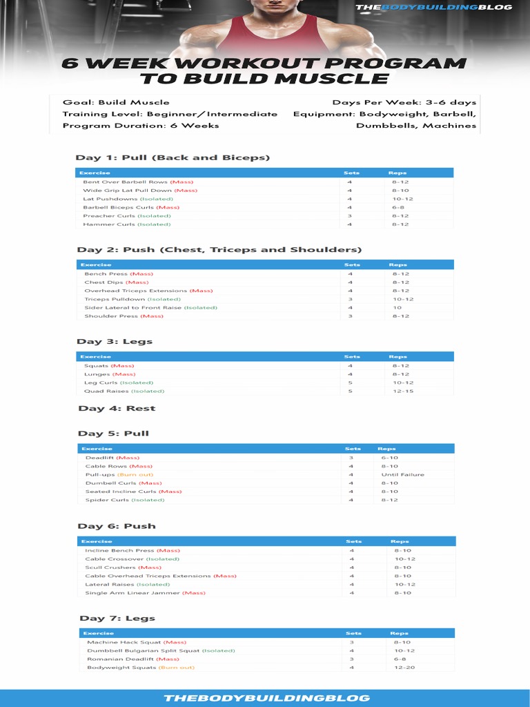 6 Week Workout Program To Build Muscle PDF