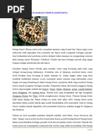 Download Ubat Herba Sakti - Sarang Semut Myrmecodia Jack by simson singawah SN51689270 doc pdf