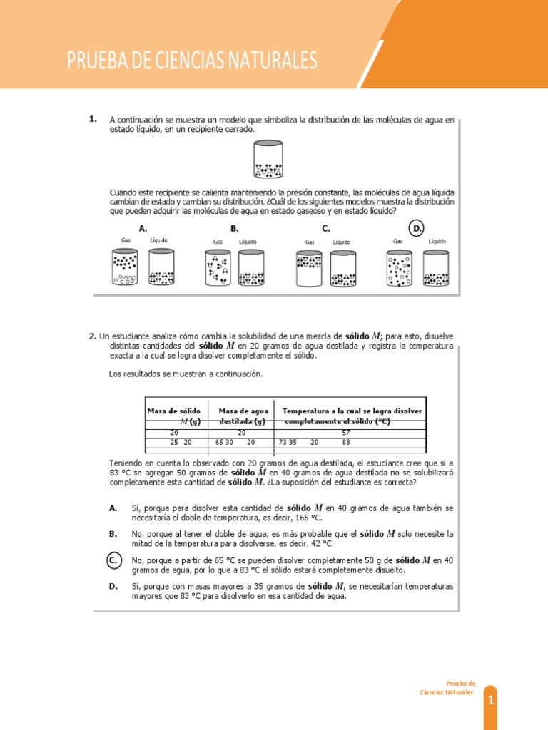 Prueba de Ciencias Naturales: Solubilidad y Enfriamiento | PDF ...