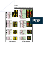 DBQ 7.1 Twins and Methylation