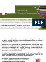 Apunte A - Plasticidad - Potenciacion y Depresion A Largo Plazo - Atencion