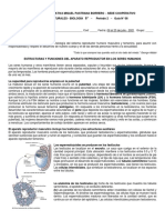 Guía 08 - Ciencias Naturales 8°