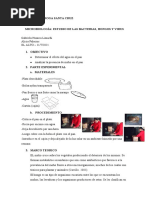 Biologia Del Experimento Con Moho