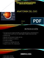 anatomiadelojopaullisto-160311122139