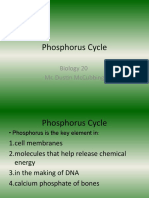 Phosphorus Cycle: Biology 20 Mr. Dustin Mccubbing