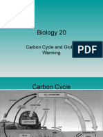 Carbon Cycle and Global Warming