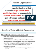 3.10 The Flexible Organisation 91