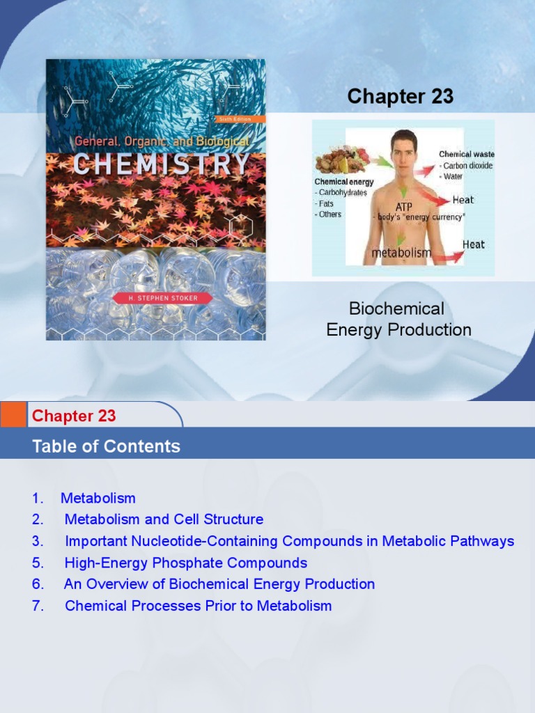 biological energy production assignment pdf