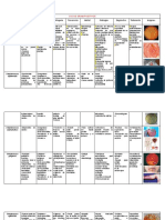 TABLA DE BACTERIAS - Compressed