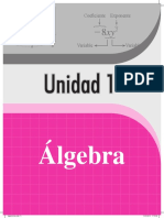 Texto - 2do-Unidad 1 Álgebra (2da. Edición)
