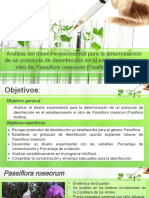 Proyecto