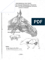 PDF Lecciones Anatomia Compress