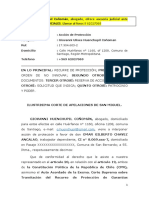 Giovanni Huenchupil - Modelo de Recurso de Protección Por FUNAS EN REDES SOCIALES