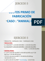 Presentacion Ejercicio Caso Animal C.A