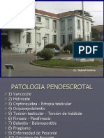 Patologia Penoescrotal 2. Mgo-Fer