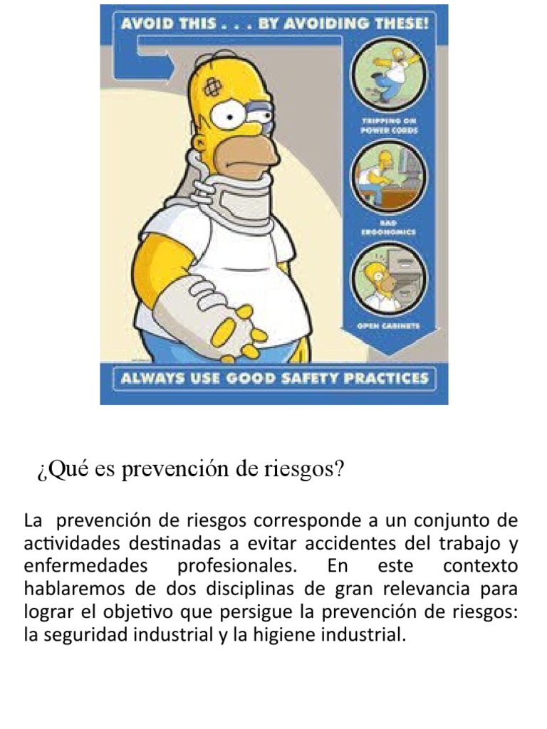 Prevención de Riesgos Laborales | PDF | Riesgo | Seguridad y salud ...