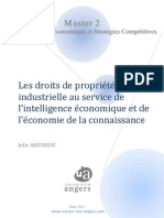 Les DPI Au Service de l'IE Et de L'économie de La Connaissance