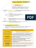 Flaccidez cutánea: causas, teorías y prevención