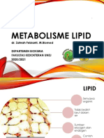 17 - Metabolisme Lipid