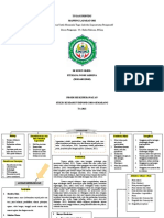 Mapping Laparatomi Fitriana NS